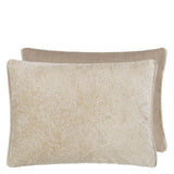 Cartouche Velvet Cushion 1
