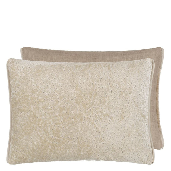 Cartouche Velvet Cushion 1