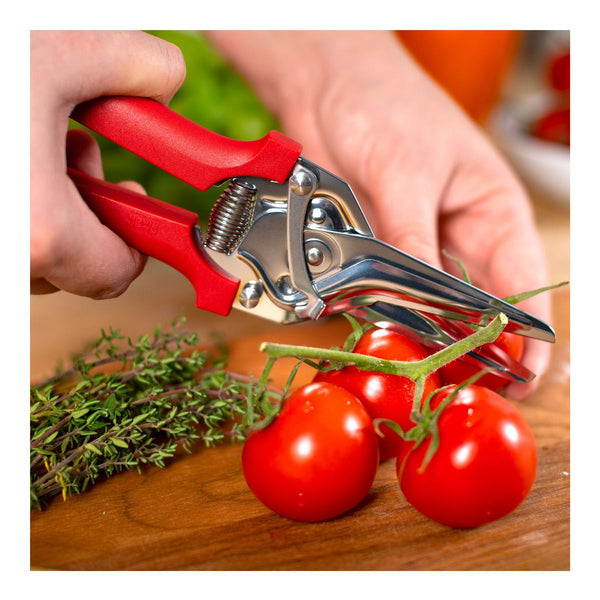 Snips classic red