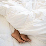 St. Geneve canonical photo