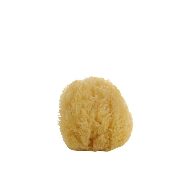 [from belledeprovence.com] Belle de Provence Sponge Large - Large