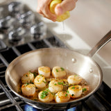 All-Clad Graphite Core Fry Pan