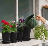 Hachiman Garden Beetle Watering Can