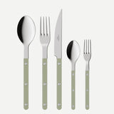Sabre flatware 5 piece setting