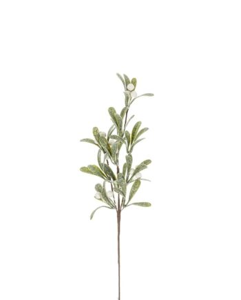 Mistletoe Branch 18"