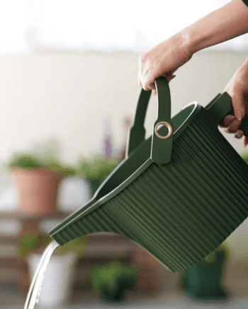 Hachiman  Garden Beetle watering can